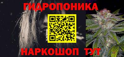 PSILOCYBIN Бердск